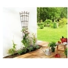 Image de INTERMAS - Treillis 0,61 x 1,50 ROYAL TREILLIS