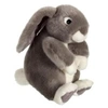 Image de - 070362 - Peluche - Lapinous Assis - Gris - 22 Cm