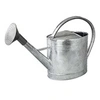 Image de - Arrosoir acier galvanisé avec pomme 13 litres