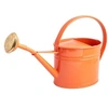 Image de Arrosoir en acier galvanisé avec pomme 1.75 litres rouge corail