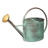 Image de - Arrosoir vert vieilli avec pomme 4 litres