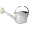 Image de Arrosoir acier galva de 10l 020520-1