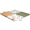 Image de Tapis D'Eveil Malin Amazonie 3En1 - Tapis Evolutif Multifonction - 120X120 Cm