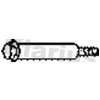 Image de Boulon, Système D'Échappement Klarius 430176 Peugeot