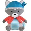 Image de Peluche Jemini John Le Raton-Laveur Bleu 26 cm 023967