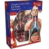 Image de - Explora - Anatomie torse humain - Experience anatomie