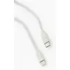 Image de Câble Lightning/USBC - 1 m