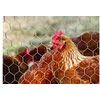 Image de Grillage pour animaux triple torsion gris, H.1.5 x L.5 m, maille H.13 x l.13 mm