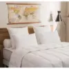 Image de Dodo Lot de 2 Oreillers Moelleux Micrococoon 60 x 60 cm