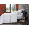 Image de DODO - Couette Tempérée Multi Protect 220x240 cm - Convient 2 Personnes - Anti-Acariens et Punaises de Lit - Tissu 100% Polyester - Garnissage 100% Polyester Termolite Lin Protect - Lavable à 40°C en occasion ou reconditionné