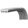 Image de Courroie 1244J5 00126206 pour Lave linge AYA, BEKO, CONTINENTAL EDISON, ESSENTIEL B, FAR, LAMONA, LISTO, SABA, SELECLINE, SOGELUX, VEDETTE , LAVE