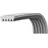 Image de Courroie 1205J5 00126619 pour Lave linge BELLAVITA, EXCELINE
