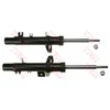 Image de Amortisseur Trw Twin Jgm3701t Trw Jgm3701t Citroen
