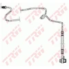 Image de Flexible De Frein Phd942 Trw Trw Phd942 Audi;Seat;Skoda;Volkswagen