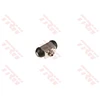 Image de Cylindre De Roue Bwf362 Trw Trw Bwf362 Fiat