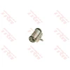 Image de Cylindre De Roue Bwf373 Trw Trw Bwf373 Ford