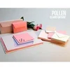 Image de Pollen Enveloppe 120g 165x165 opaline pqt 20