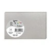 Image de Lot de 25 cartes A4 Pollen 8,2 x 12,8 cm Argent