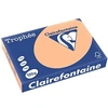 Image de Ramette de papier - A4 - Abricot - 120g - Impression - 250 feuilles - Trophée