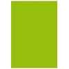 Image de Etui de 25 feuilles Pollen 210x297 Vert Menthe 210g