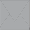 Image de Paquet de 20 enveloppes Pollen 165x165mm Argent 120g