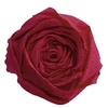 Image de Papier Crépon - Framboise - 2,5 x 0,5 m