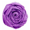 Image de Papier Crépon - Mauve - 2,5 x 0,5 m