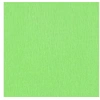 Image de Papier crépon Vert pistache 2,50 m x 0,50 m
