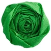 Image de Papier Crépon - Vert pré - 2,5 x 0,5 m