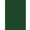 Image de Papier de soie Vert sapin x 8 feuilles 50 x 75 cm
