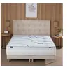 Image de Matelas mousse 1400x2000 cm source de reves epaisseur 30 cm Non specifie zones accueil moelleux