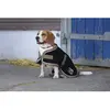 Image de Diego & Louna Manteau Pour Chien Polyfun