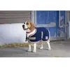 Image de Diego & Louna Manteau Pour Chien Polyfun