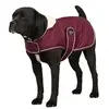 Image de Diego & Louna Manteau Pour Chien Teddy