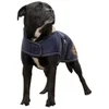 Image de Diego & Louna Manteau Pour Chien Nylon Teddy 26 cm