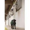 Image de Diego & Louna Manteau Pour Chien Nylon Teddy 26 cm