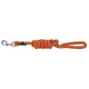 Image de Equitheme Laisse Pour Chien Rio