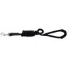 Image de Riding World Laisse Pour Chien Lucky