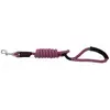 Image de Riding World Laisse Pour Chien Lucky