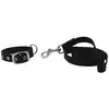 Image de Riding World Laisse Pour Chien Oscar