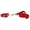 Image de Riding World Laisse Pour Chien Oscar