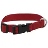 Image de Riding World Collier De Chien Pat