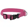 Image de Riding World Collier De Chien Pat