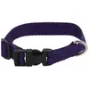 Image de Riding World Collier De Chien Pat