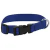 Image de Riding World Collier De Chien Pat