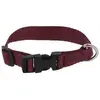 Image de Riding World Collier De Chien Pat