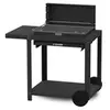 Image de - Barbecue Montory 61*40 Sur Chariot