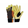 Image de Gants de protection Pro Taille de la vigne - Taille 10 -