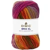 Image de Pelote de Laine BRIO XL - 100g - DMC : Laine Epaisse Multicolore pour l'Hiver(...) - 405 Multicolore
