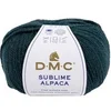 Image de Pelote de Laine et Alpaga Sublime Alpaca - DMC(...) - 812 Vert